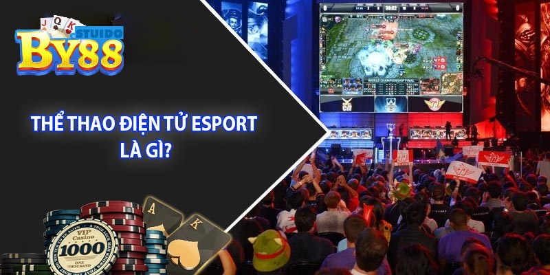 Thông tin chung về loại hình giải trí esport